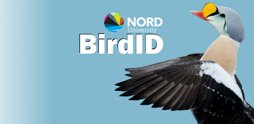 Programėlė BirdID Nord University